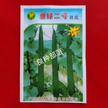 Yalu No. 2 Luffa 30g Guangdong Academy of Agricultural Sciences Hybrid Light Green Long Crisp Sweet Rib Luffa