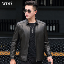 Haining leather leather mens goatskin lapel slim slim leather jacket short single leather spring locomotive tide coat