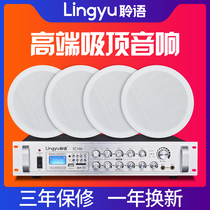 Hearing ceiling speaker set ceiling audio wireless background music system amplifier speaker