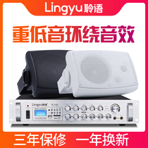 Hearing language TB5D wall-mounted audio speaker shop conference room dance studio 3D surround sound background music hanging wall audio