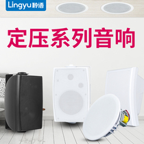 Linglanguage fixed pressure wall speaker shop audio restaurant horn subwoofer Dance Studio conference room speaker