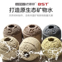 Taiwan Baster BST Nano Balsamia Nitrobacteria House Bottom Filter Fish Tank Filter Material No1 Nanosball Companion Bacteria Biochemical Ball