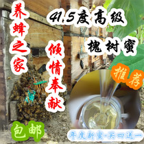 Northeast Jilin Ji' an honey Zhong's bee garden farmhouse produces locust tree honey acacia honey locust honey