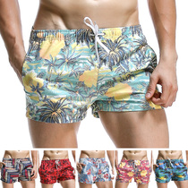 Beach Summer Beach Pants Men Sports Fitness Running Speed Dry Men Shorts Casual Loose Pants Sleeping Pants