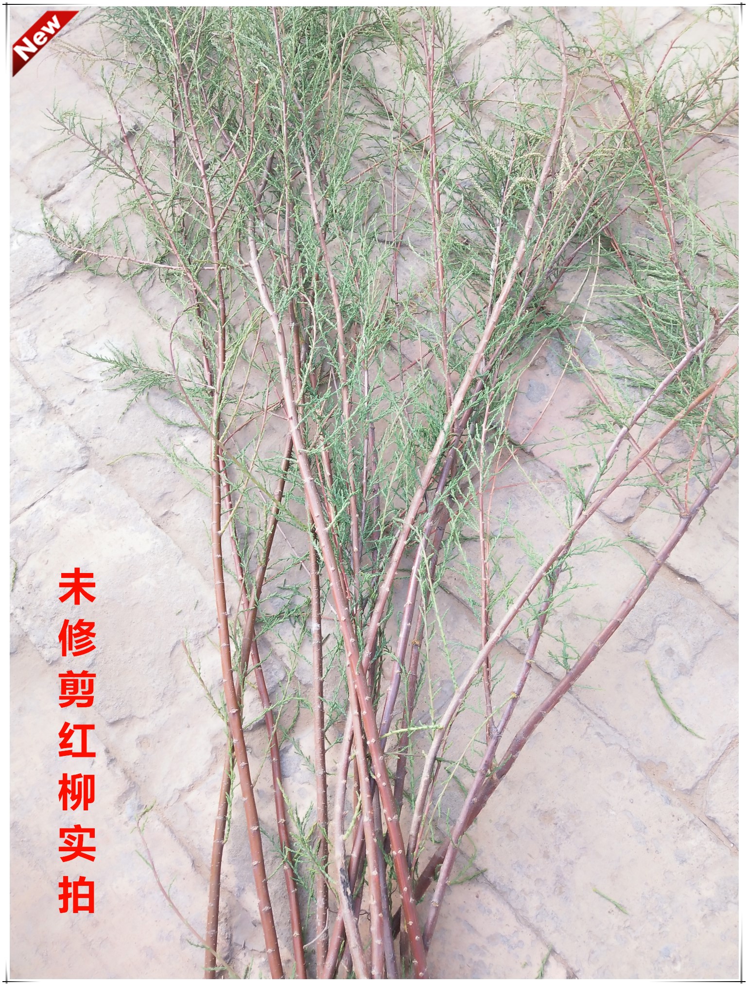 红柳木烤肉签子新疆红柳枝烧烤枝签子红柳木烧烤签子红柳烤肉签子