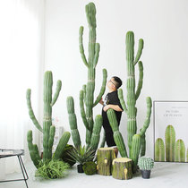 Simulation of oversized Cactus Large landing fake cactus column tropical desert green plant setting decoration ornaments