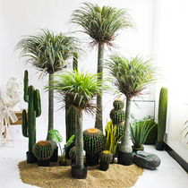 Nordic Moroccan Dragon Blood Tree Emulation Large Tropical Desert Plant Decoration Bonsai Creativity Ground Green Plant Pendulum