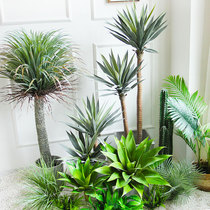 Simulation Tropical Desert Fake Plant Design Scene Sword Land Green Planting Mesh Cafe Shop Window Plant Corner Bugscape Decoration