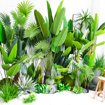 Large simulation green plant Plantain Plantain Banana Tree Tortoise Back Bamboo Floor Interior Shop Window Plant Corner Design building decoration