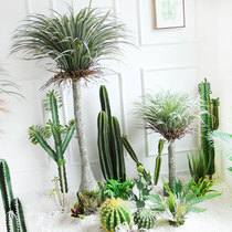 Simulation Cactus Green Planting Mesh Cafe Clothing Shop Selling Shop Window Plant Corner Decoration Scene Design and matching building scenery