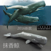 Sperm Whale 2016 new emulated marine animal model White mold environmentally friendly material Childrens cognition can be colored