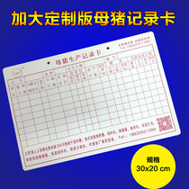 Increased version of customized sow breeding pig record card sow delivery card 1000 pig raising equipment and equipment