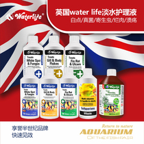 UK Waterlife White spot freshwater fungus Surface parasite ectoparasite sudden eye velvet disease Rotten meat ulcer