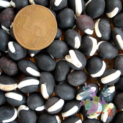 5斤包邮云南农家黑扁豆/2016年新货 刀豆 羊眼豆 新上促销/500g