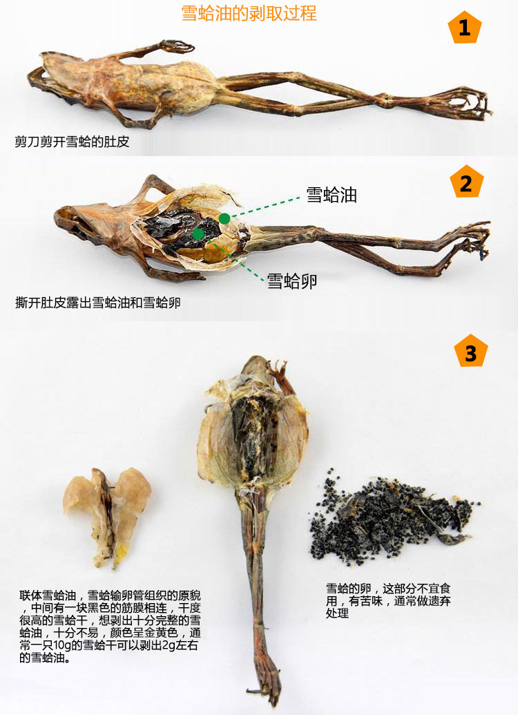 东北长白山纯雪蛤油 林蛙油 东北特产蛤蟆油包邮 **雪.