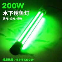 12v underwater fishing light Yellow fishing light Strong light night fishing light Raft fishing squid light Lure fish light Lure fish light Underwater