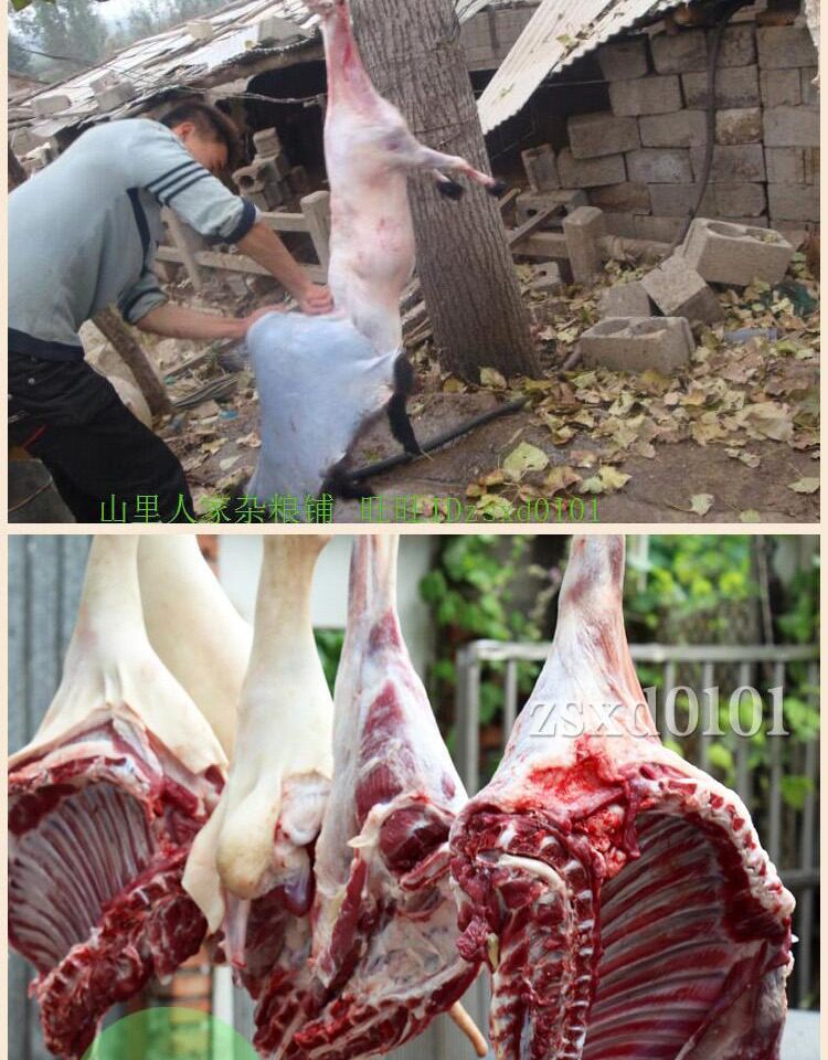 新鲜羊肉 生羊肉农家散养山羊肉带皮羊腿羊排 带皮羊肉烧烤羊肉串_双