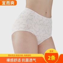 Pleasant and great size underpants Womens new 2021 Burst Fashion High Waist Pure Cotton Mom Closeout Antibacterial Lace Sidepants