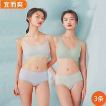 Nice and refreshing pants lady Modale lace side printed middle waist flat angle closets hip-to-hip triangle pants head 3 dress