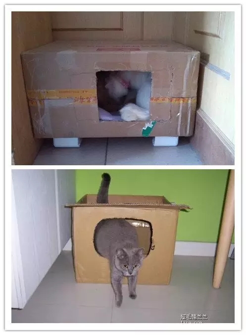 可擦洗实木猫产房猫产床 宠物产房 猫产箱 孕猫产房宠物孕期猫窝