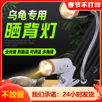 Tortoise basking lamp sun lamp sun turtle uva heating temperature uvb full spectrum calcium supplement ultraviolet turtle cylinder back timing