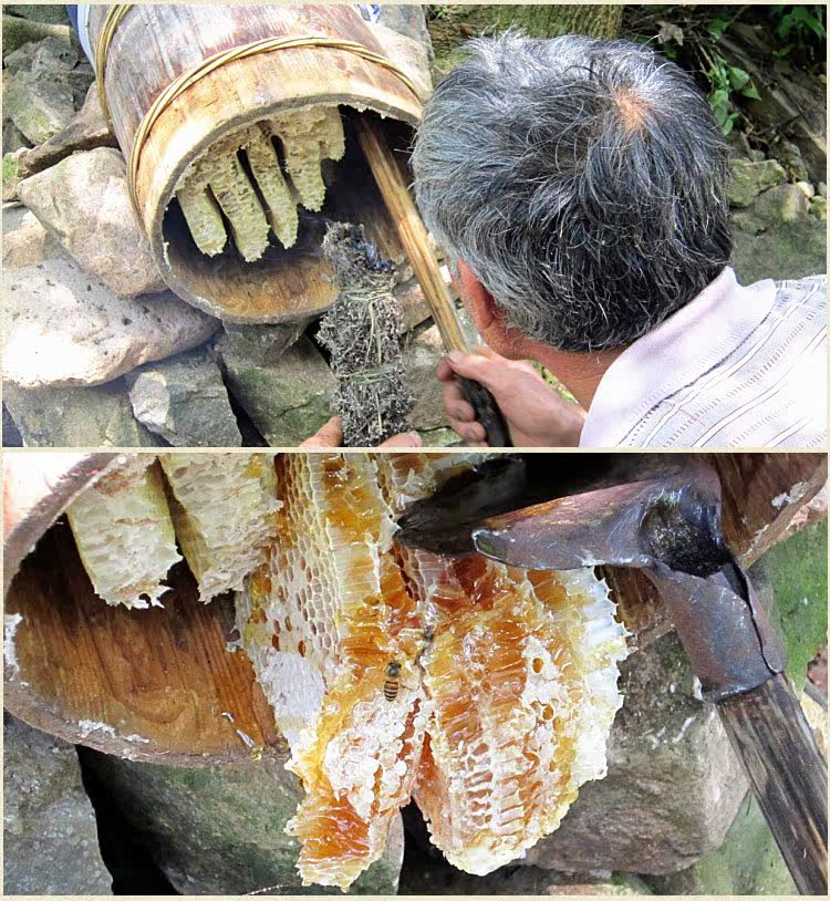 深山木桶野生蜂蜜 纯正天然土蜂蜜 农家自产百花蜜 原始土法割蜜