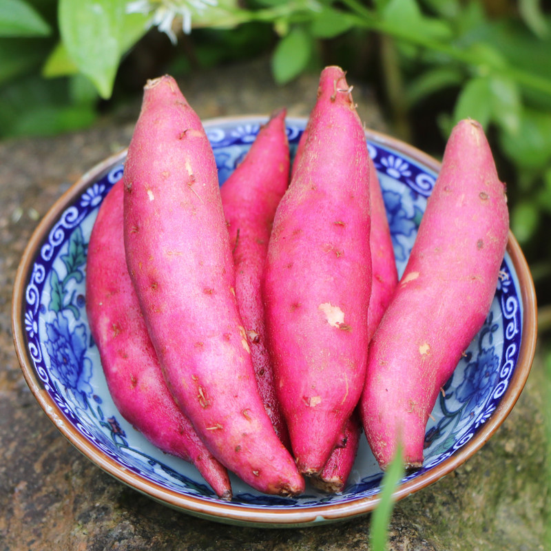 正宗天目山新鲜小香薯*5斤