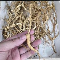 Changbai Mountain Ginseng Wild Mountain Ginseng Gift Box Linxia Ginseng 12 years dry ginseng Jilin Wild Northeast Ginseng soaked wine pruning