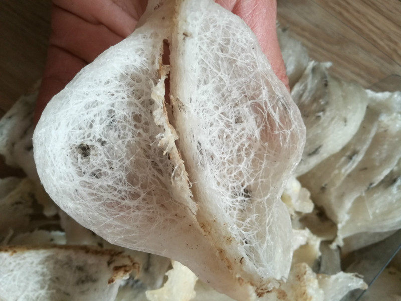 马来西亚天然极轻毛燕雨季头期燕窝原始盏250克_不打折现价3600.00元