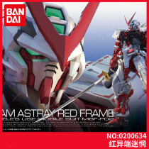 Japan Wandai Gundam assembled model RG 19 1 144 red heresy dare to red confused MBF-P02