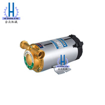 Self-brewed beer circulating pump wort transmission equipment liquid small booster pump professional water pump wine with cleaning accessories