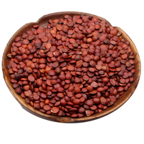 Huoshentang Chinese herbal medicine raw jujube Renhuai jujube kernel Henan Huaiqing 250g and fried jujube kernel edible agricultural products