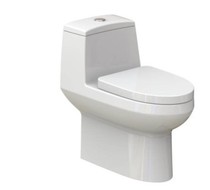 WL100086113001 giessdorf toilet GP-8611N GP-8612N