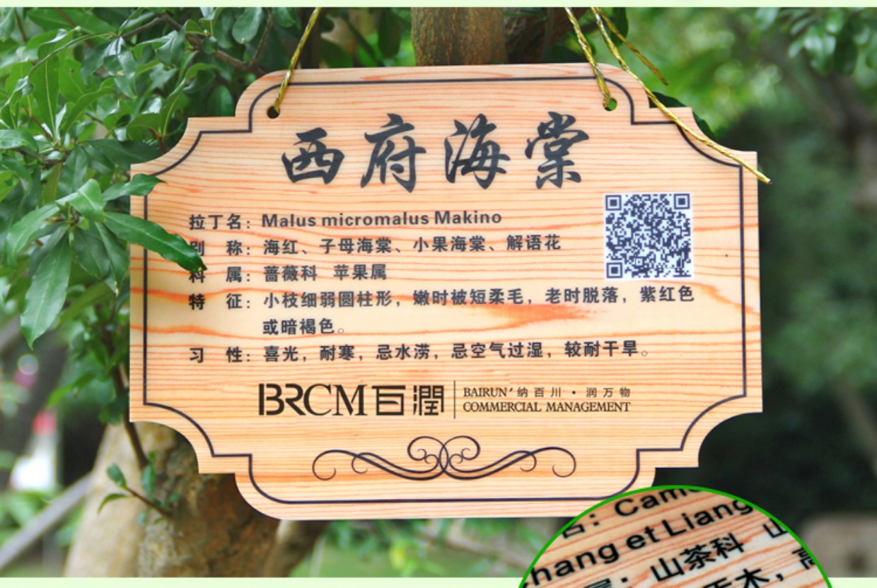 亚克力悬挂树牌定制花草牌树木介绍植物简介插地牌广告标识认养牌