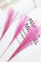 Girl sense Reed dried flower photo props cosmetics accessories shooting background ins pink Reed match