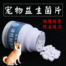 Pet probiotic dog conditioning gastrointestinal digestion Teddy Golden Pine Lion General Nutritional Variety