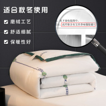 Warm dormitory single double quilt core anti-mite gift quilt wormwood antibacterial quilt winter quilt 2020 winter thickened