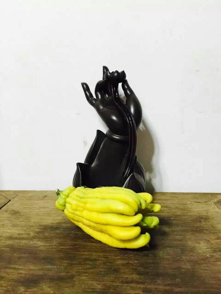 金华佛手果新鲜 佛手鲜果 佛手瓜佛手果佛手柑小佛手清供把玩