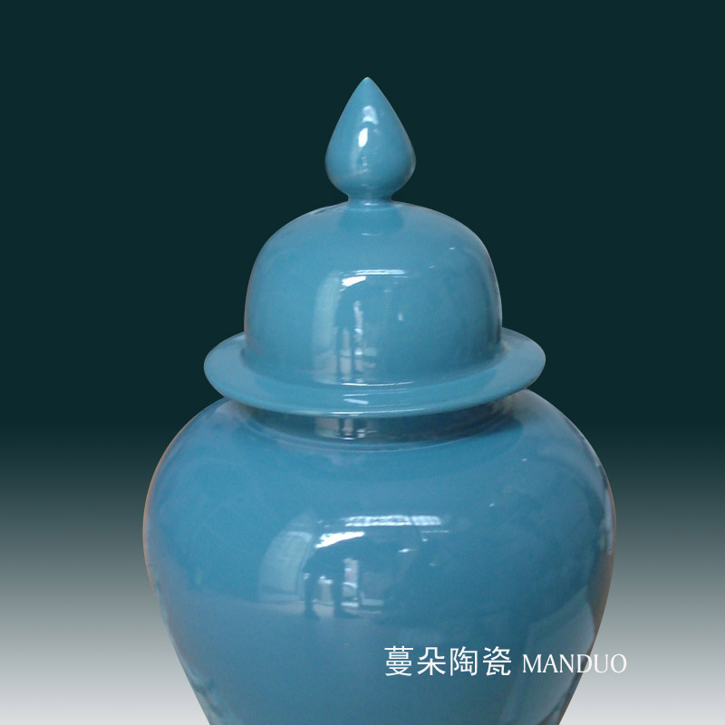 Jingdezhen avant - garde contracted general can display the home general as cans with the general pot decorate a company