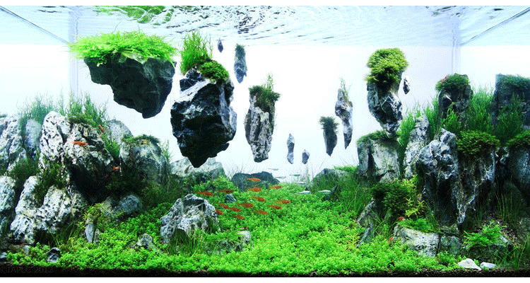 悬浮石鱼缸造景阿凡达场景装饰景观石水草缸布景材料三块包邮