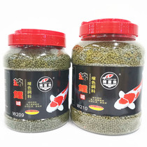 Genie Fish Brocade Carp Color feed spirulina recipe Brightening goldfish trophies can be used with nutraceutical unmuddy carp