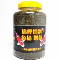 Love fish red brocade carp feed color poplar gold carp golden carp golden carp grow up to grow fish grain not muddy water