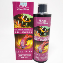 Good Hearfish Germicidal Rotten Meat Treating tropical Ornamental Fish Prevention Disease Parrot Fish Goldfish Kini Carp for a fortune