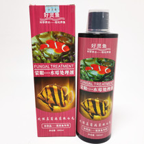 Good Hearfish Moneywater Moldy Treatment Tropical Ornamental Fish Disease Prevention Parrot Fish Merchants Map Brocade Carp Goldfish