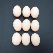 Egg Laying little hen Rooster Turtle toy accessory egg