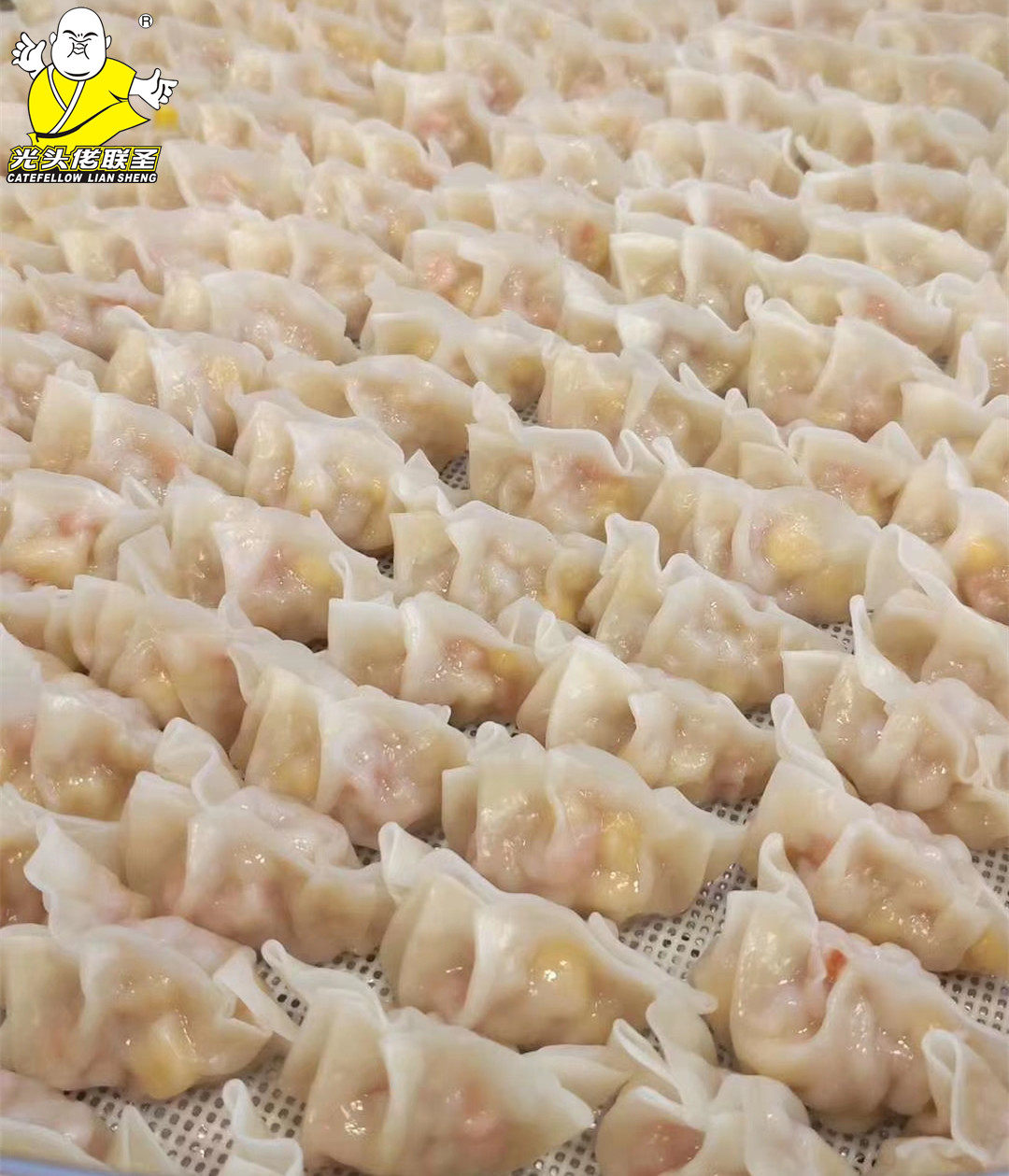 光头佬水晶饺子皮 蒸饺煎饺水饺皮 烧卖皮 港式云吞皮 2斤装 包邮
