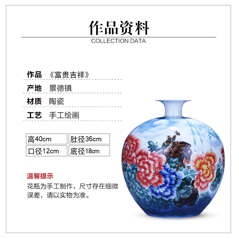 Jingdezhen ceramics hand - made wealth and auspicious pomegranate big vase modern Chinese style household living room TV ark, furnishing articles