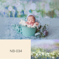 Newborn flower background soft glue oil painting background foldable full moon background cloth water proof soft glue background NB-034