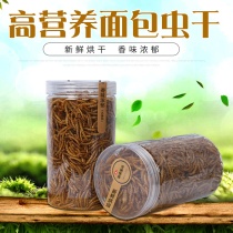 Andy graceful bread worm dried yellow mealworm hamster food snacks feed gross weight about 130 grams two pieces