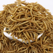 Breadworm dry hamster snacks yellow powder Golden Bear grain pregnant rat 50g